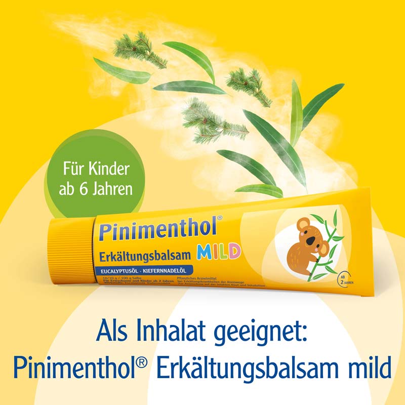 PINIMENTHOL Inhalator 1 St