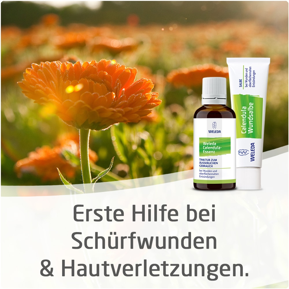 WELEDA Calendula Wundsalbe 25 g Salbe