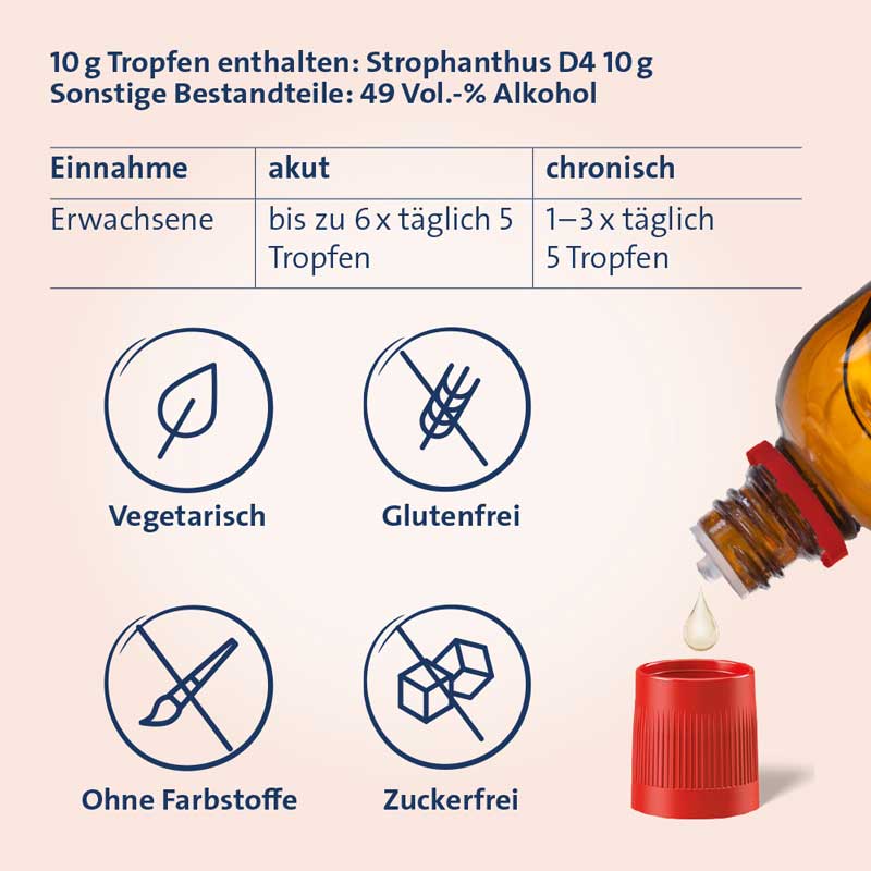 STROPHANTHUS HEVERT Tropfen 100 ml Tropfen