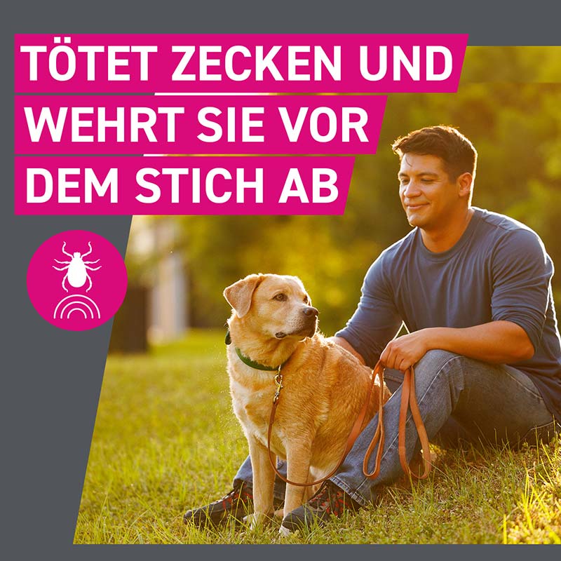 FRONTLINE TRI-ACT gegen Zecken, Flöhe und fliegende Insekten für Hunde S (5-10 kg)  3 St Lösung