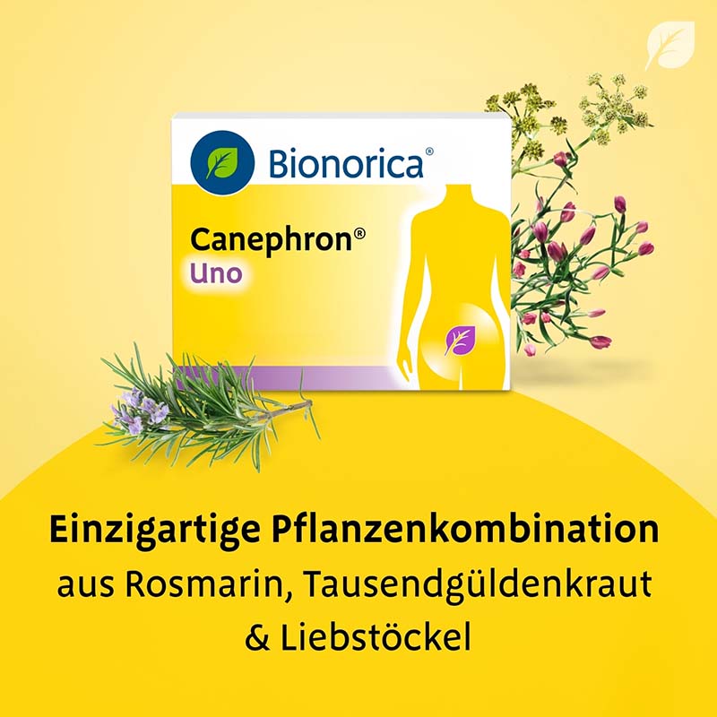 CANEPHRON Uno 60 St Überzogene Tabletten