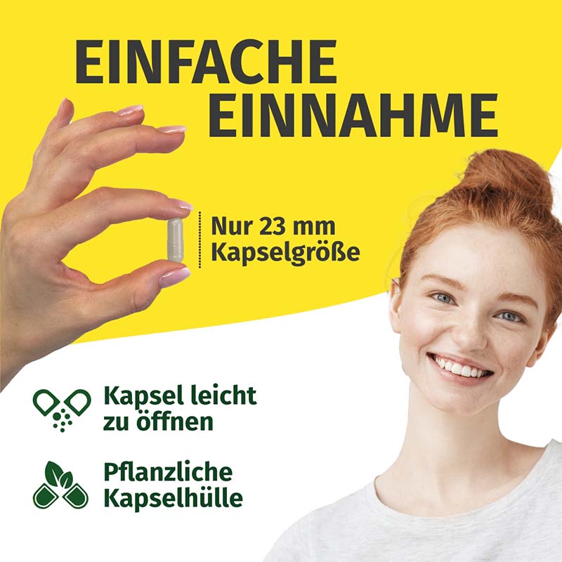 GREEN NATURALS RUTIN & STEINKLEE 180 St Kapseln