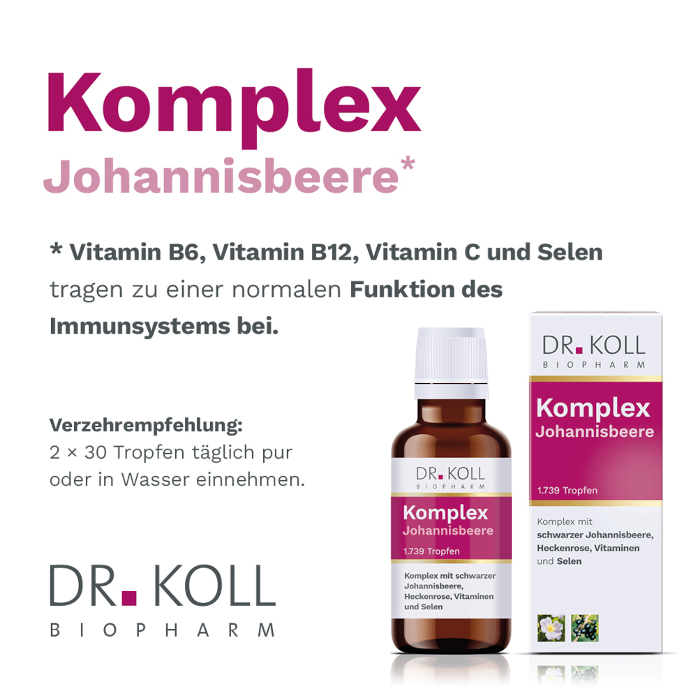 DR. KOLL Komplex Johannisbeere 50 ml Tropfen
