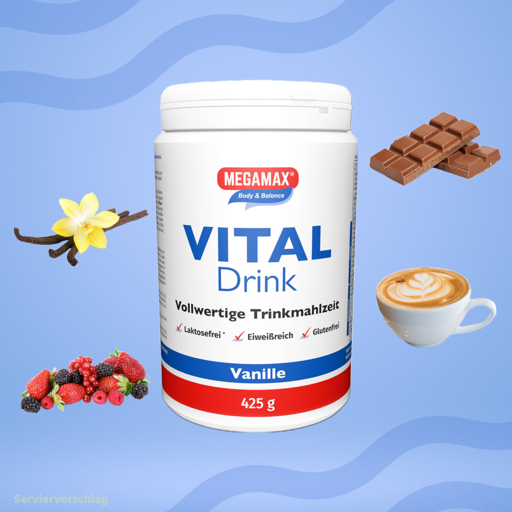 MEGAMAX VITAL-Drink Vanille 425 g Pulver