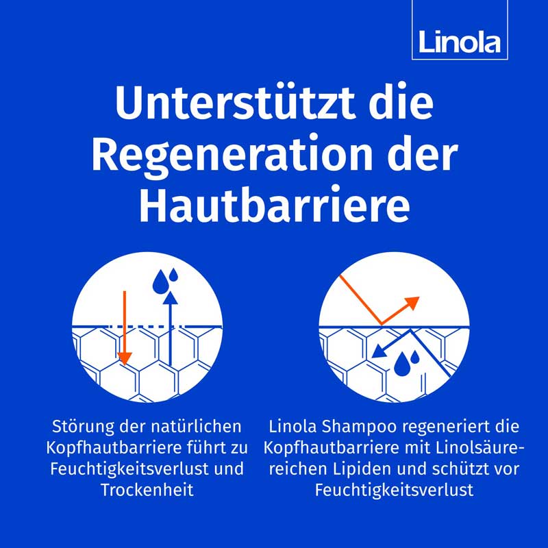 Linola Shampoo - Für trockene Kopfhaut 200 ml Shampoo