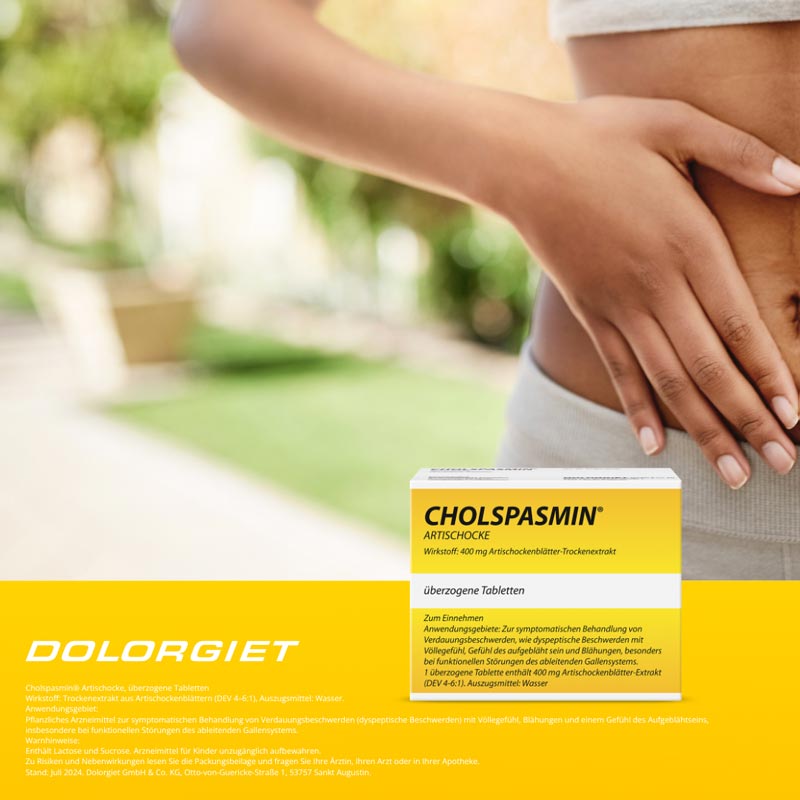 Cholspasmin Artischocke 100 St Überzogene Tabletten