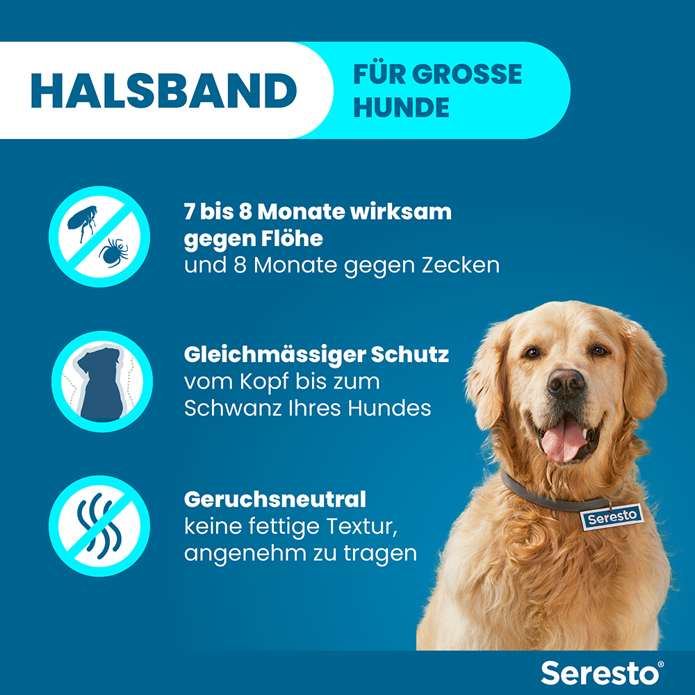 SERESTO 4.5+2.03 HUND AB 8KG 1 St Halsband