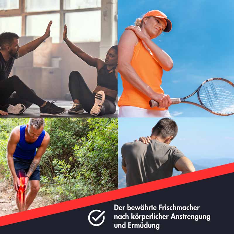 ENSBONA Pferdesalbe mit Rosmarin, Arnika, Rosskastanie & Kampfer 500 ml Salbe