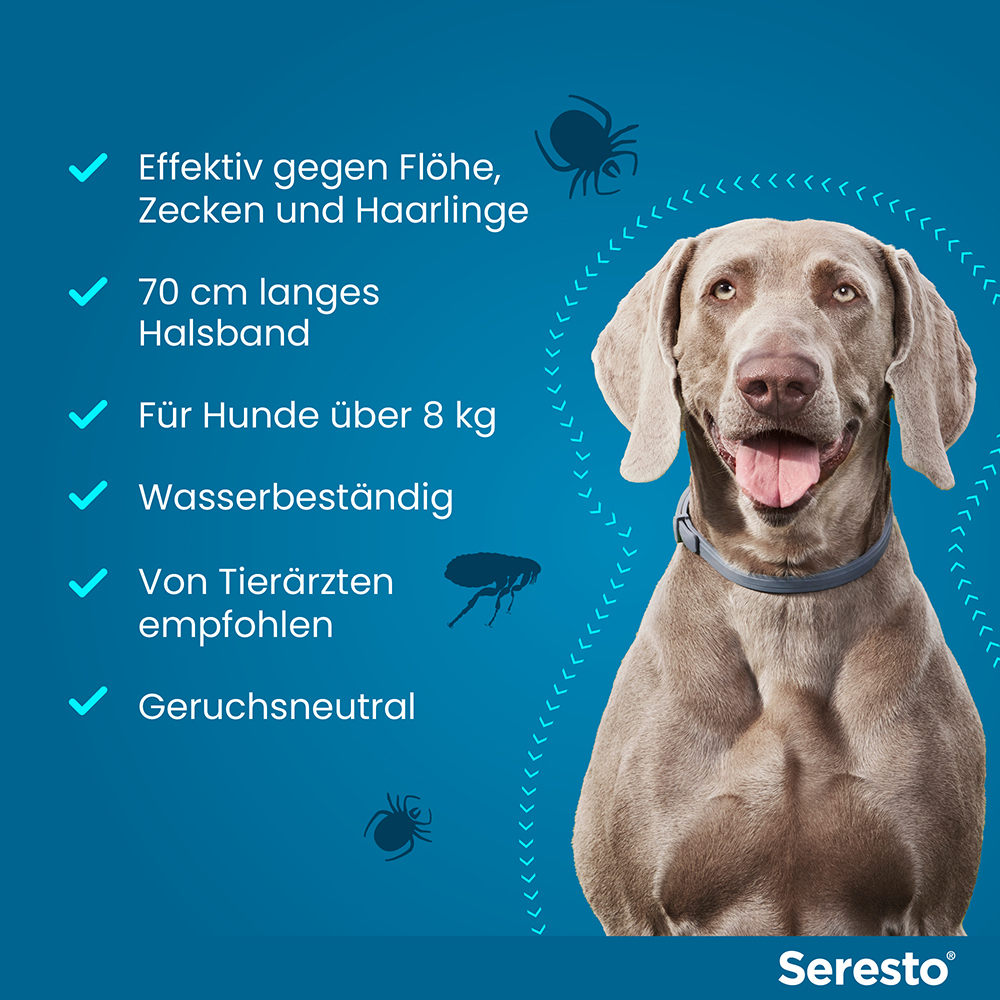 SERESTO 4.5+2.03 HUND AB 8KG 1 St Halsband