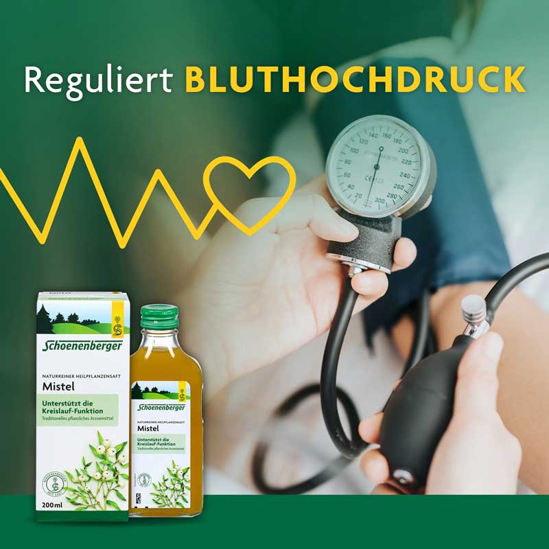 Schoenenberger Naturreiner Heilpflanzensaft Melisse 200 ml Saft