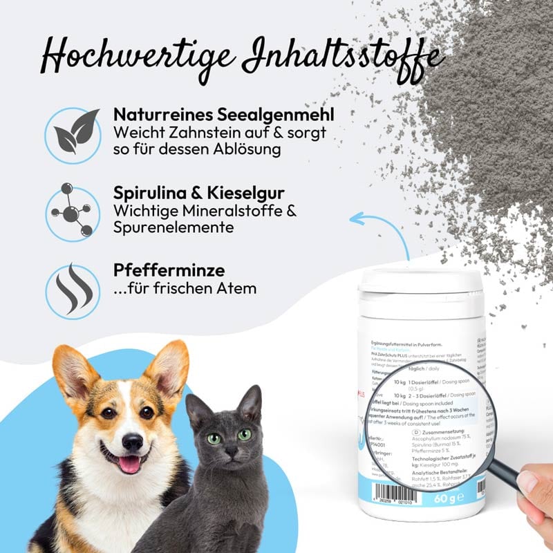 PHA ZahnSchutz PLUS Pulver für Hunde und Katzen 60 g Pulver