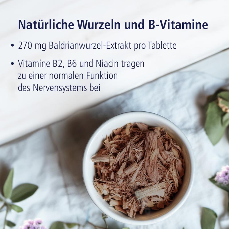 KLOSTERFRAU Baldrian 1200 30 St Tabletten