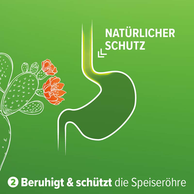 Refluthin bei Sodbrennen Fruchtgeschmack 16 St Kautabletten