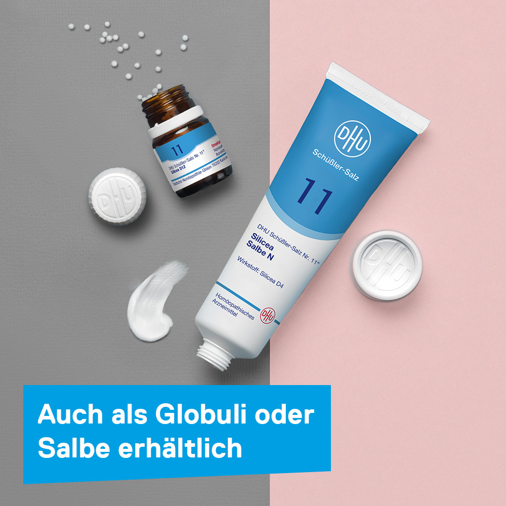 DHU Schüßler-Salz Nr. 11 Silicea D12 420 St Tabletten