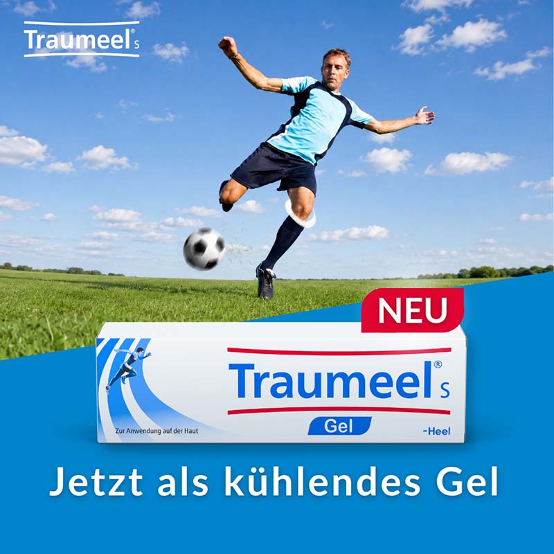 Traumeel S Gel 100 g Gel