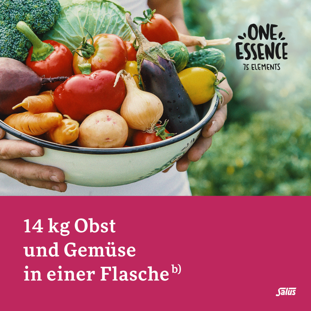 Salus ONE ESSENCE 75 ELEMENTS  250 ml Elixier