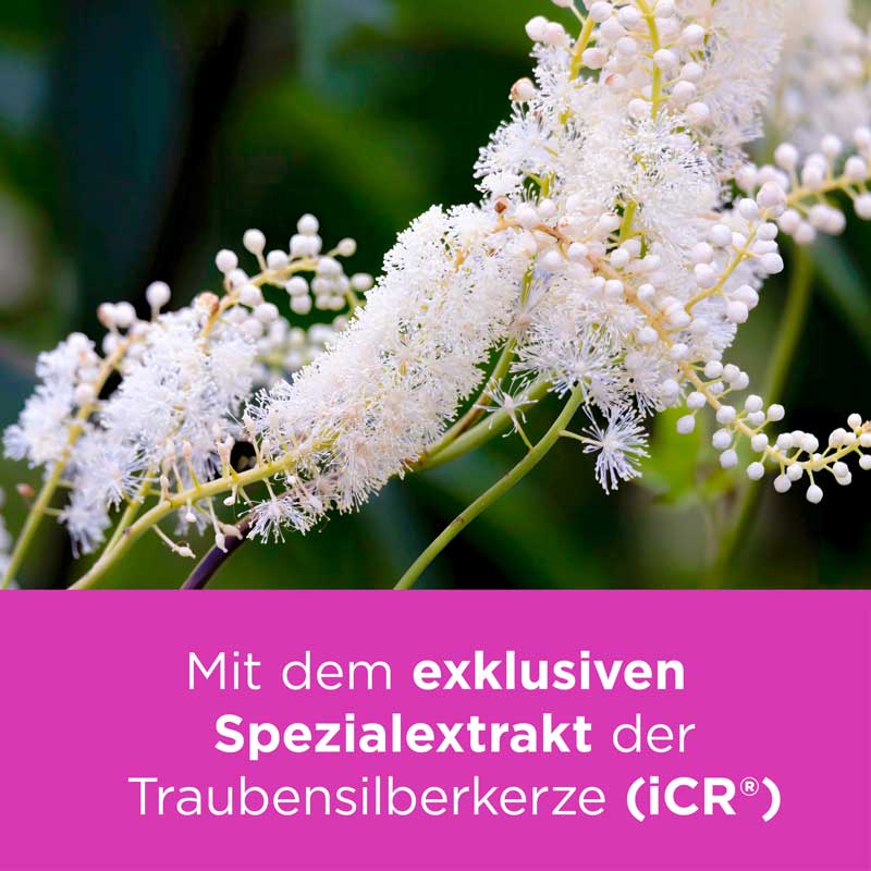 Remifemin bei Wechseljahresbeschwerden 200 St Tabletten