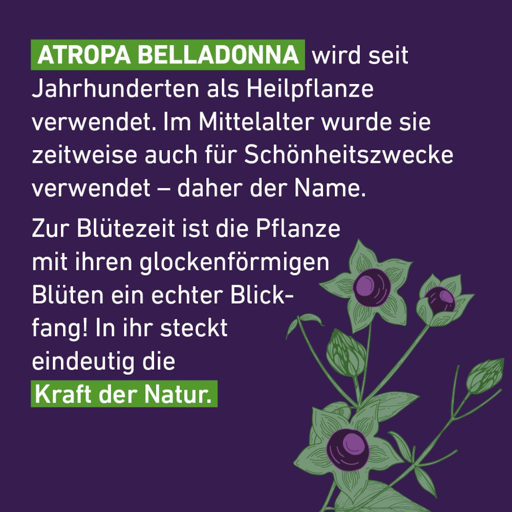 Belladonna D6 Globuli Pflüger 10 g Globuli