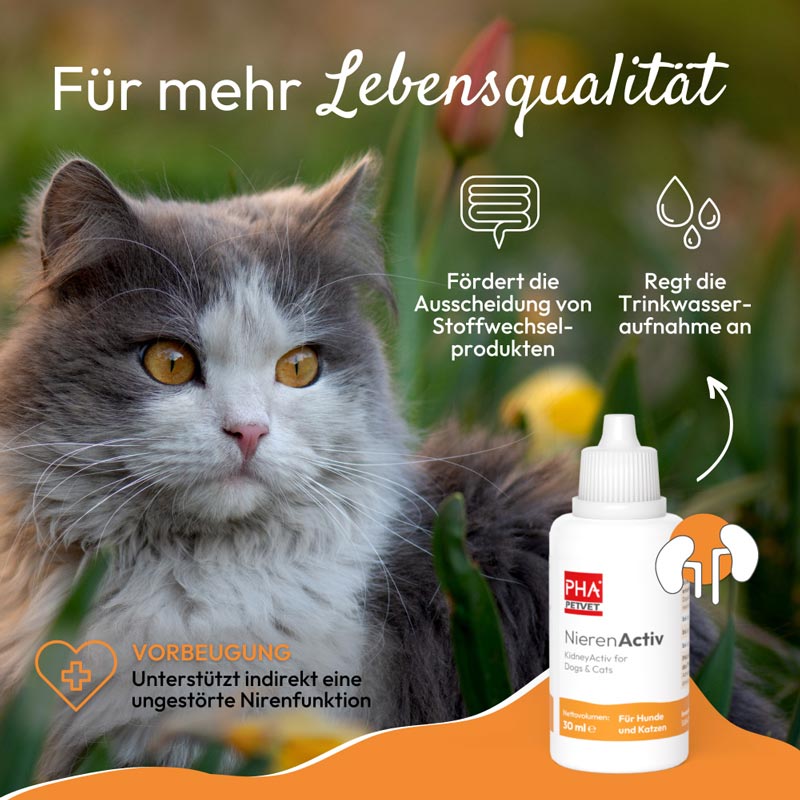 PHA NierenActiv Tropfen für Hunde und Katzen 30 ml Tropfen