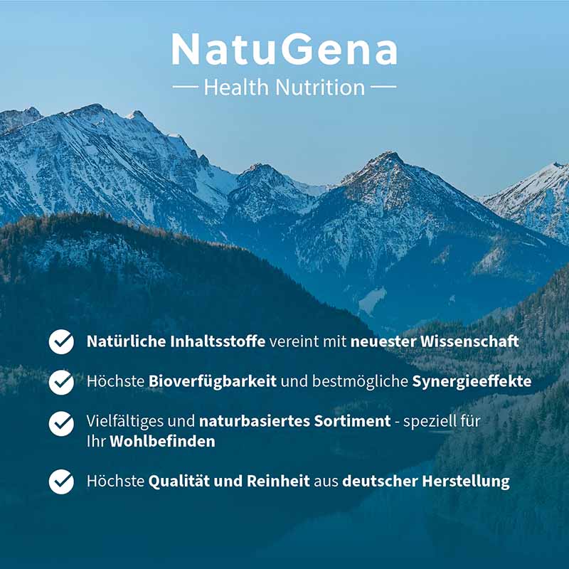NatuGena MSM 4000 Kapseln 150 St Kapseln