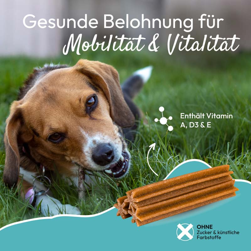 PHA MultiVitalStick für Hunde 7 St Kaudragees