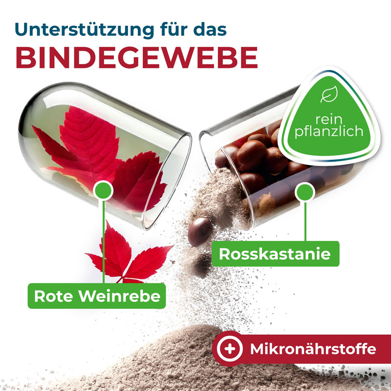 NYRAX Veno - Balance 120 St Kapseln