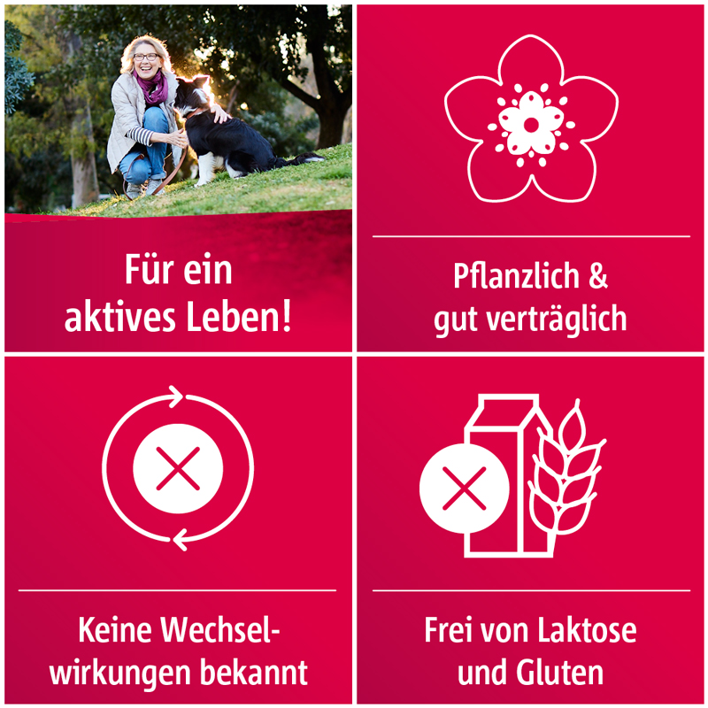 Crataegutt 450 mg  100 St Filmtabletten