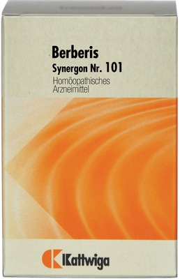 SYNERGON KOMPLEX 101 Berberis Tabletten 200 St Tabletten