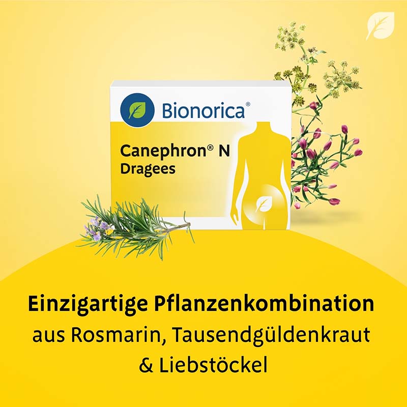 Canephron N Dragees 60 St Überzogene Tabletten