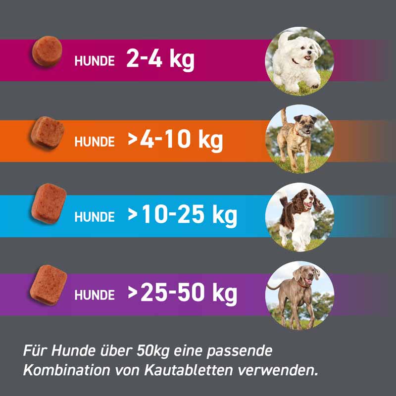 FRONTPRO HUNDE Kautablette 3 St. gegen Zecken und Flöhe für Hunde (2-4kg)