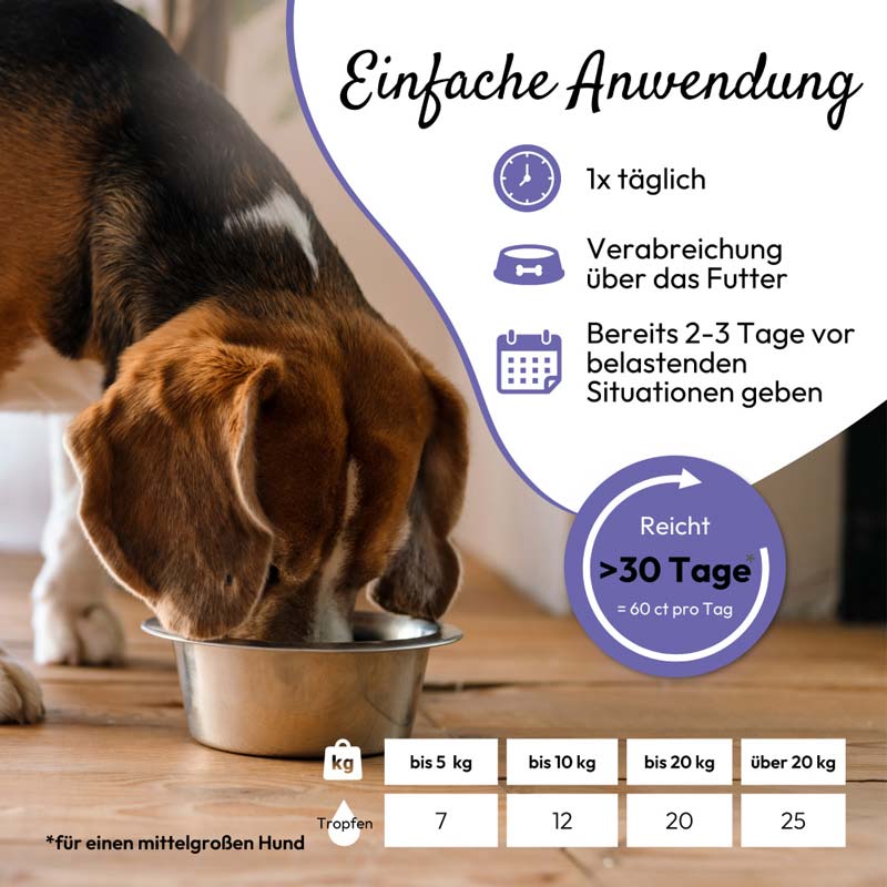 PHA AntiStress Tropfen für Hunde & Katzen 30 ml Tropfen