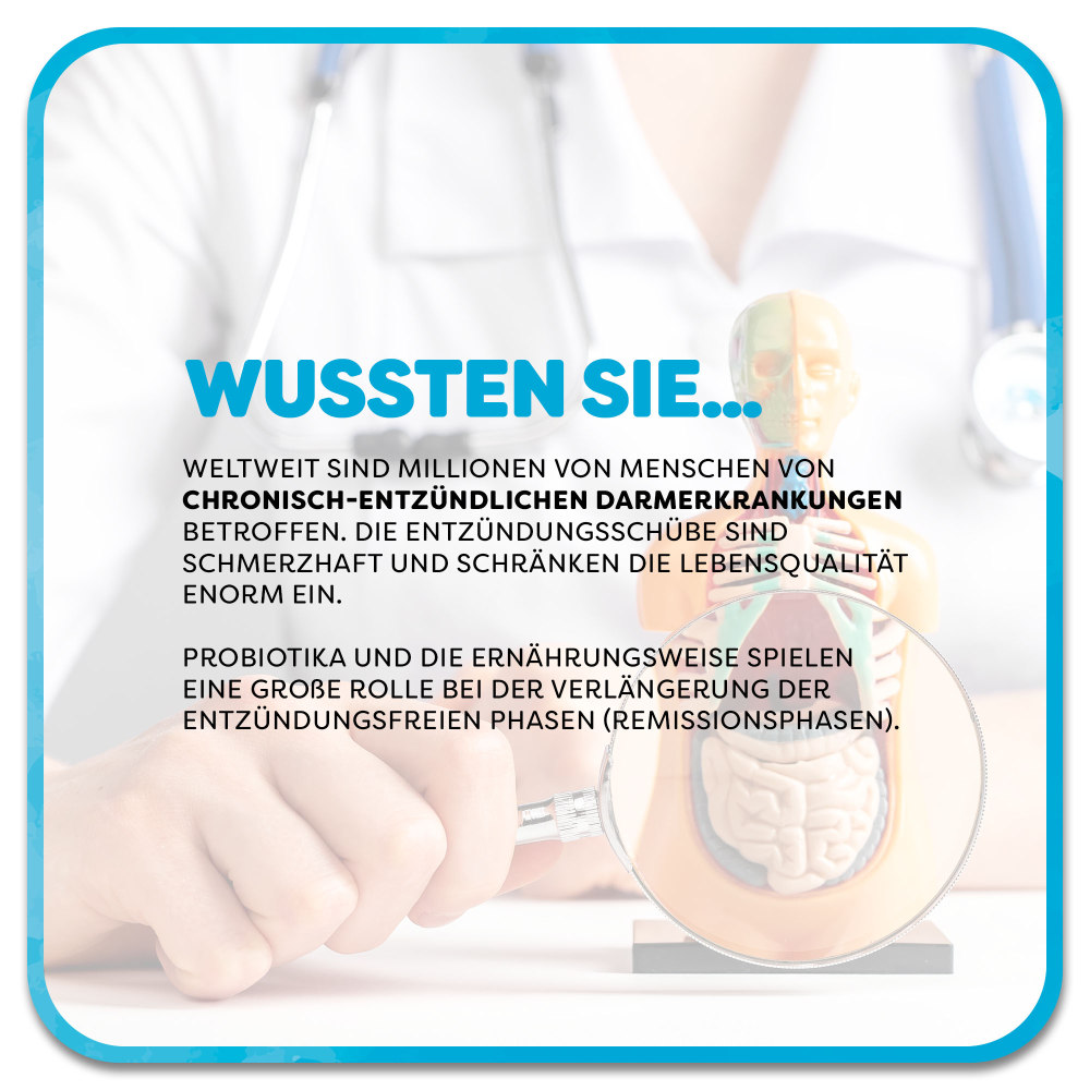 LACTOBACT Forte magensaftresistente Kapseln 300 St Kapseln magensaftresistent