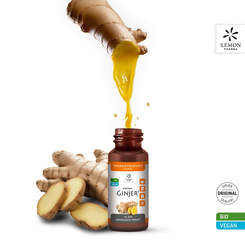 INGWER GINJER forte Tropfen 20 ml Tropfen