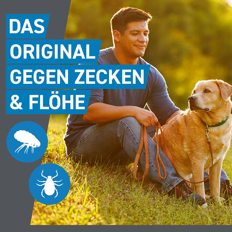 FRONTLINE SPOT ON HUND M gegen Zecken, Flöhe & Haarlinge  6 St Lösung