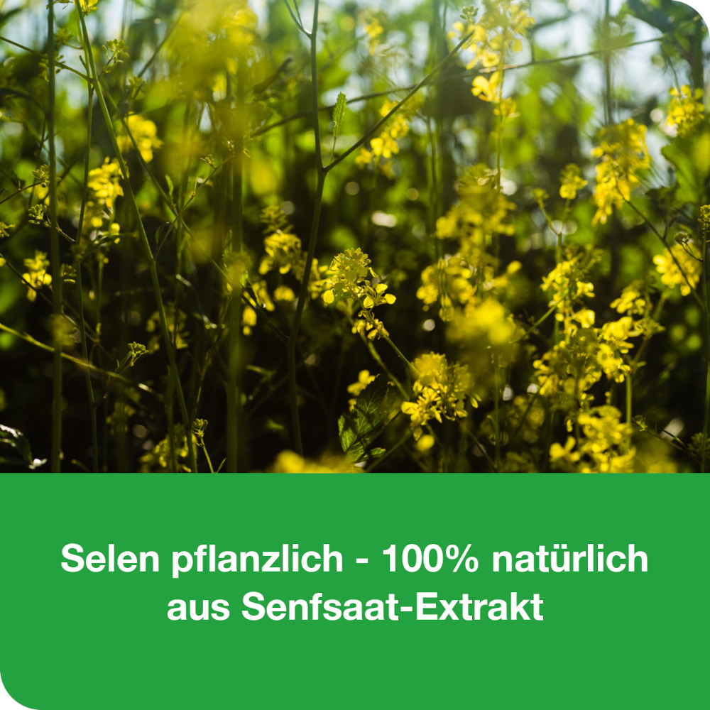 selen-Loges 200µg pflanzlich 120 St Filmtabletten