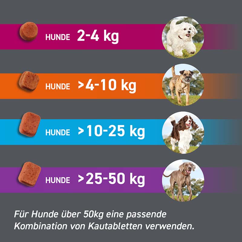 FRONTPRO Kautabletten Hunde 2 - 4 kg Doppelpack 2X3 St Kautabletten
