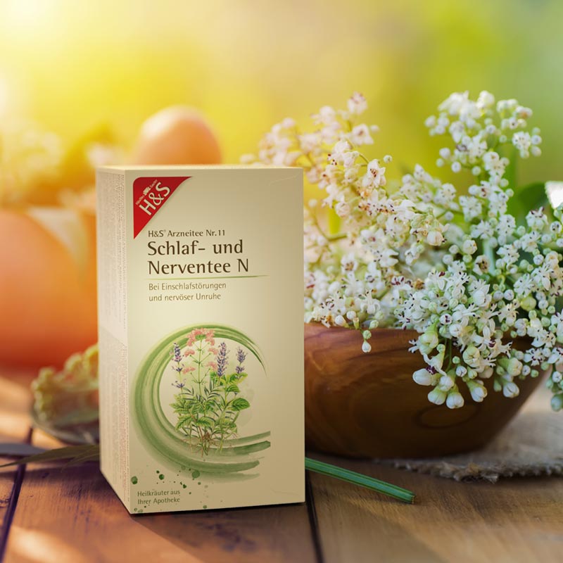 H&S Arzneitee Schlaf- und Nerventee N  20X2.0 g Filterbeutel