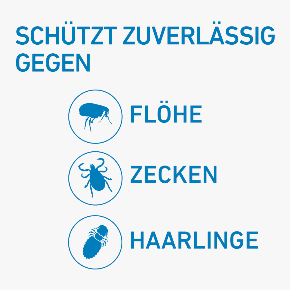 FRONTLINE SPOT-ON gegen Zecken, Flöhe und Haarlinge für Hunde L (20-40 kg)  3 St Lösung