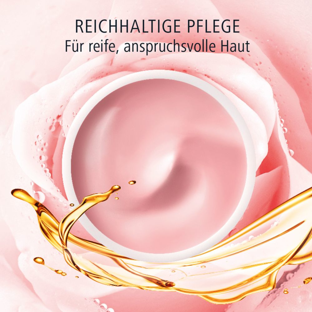 Olivenöl Intensivcreme Rosé Tagescreme 50 ml Tagescreme