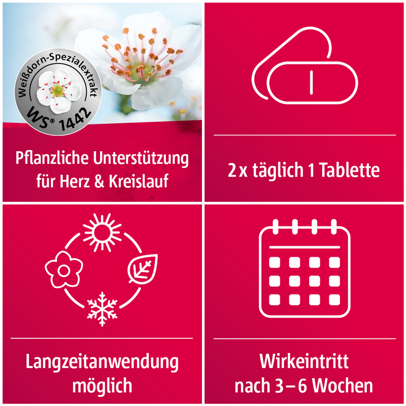Crataegutt 450mg  200 St Filmtabletten