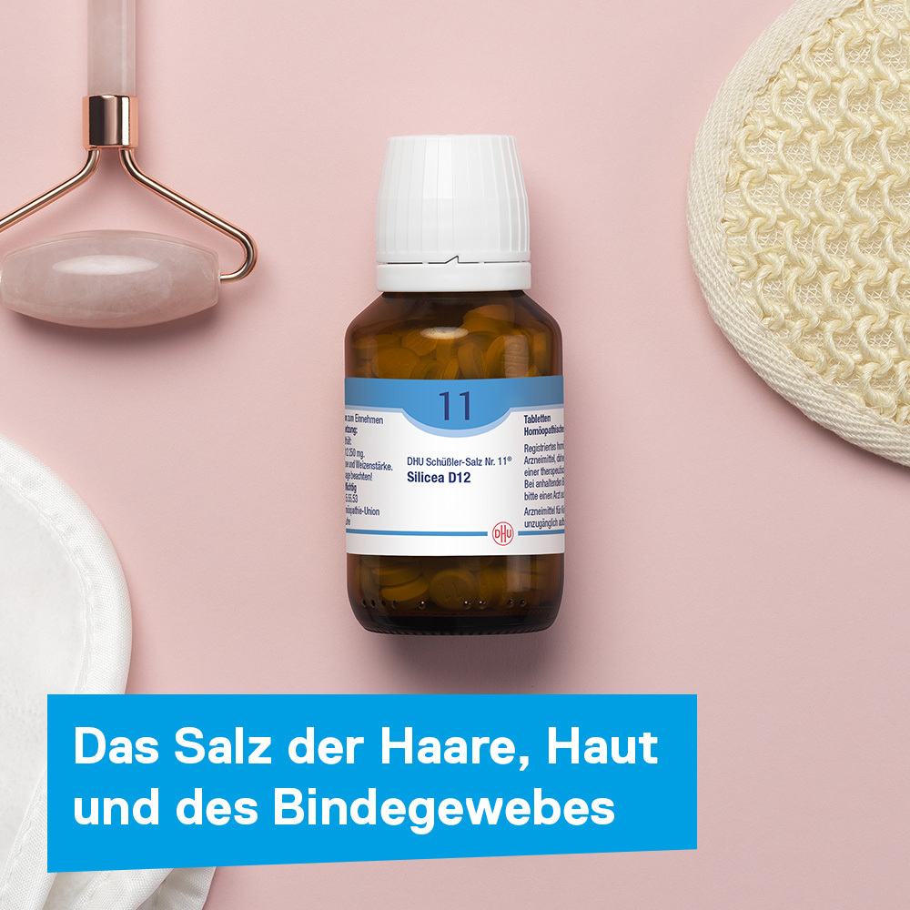 DHU Schüßler-Salz Nr. 11 Silicea D12 900 St Tabletten