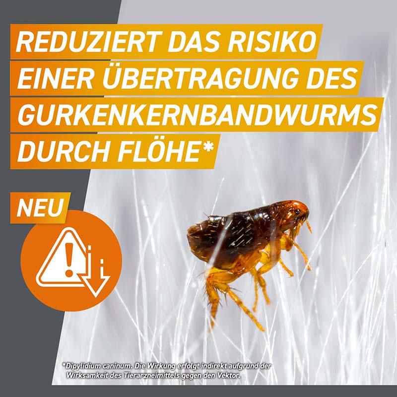 FRONTPRO - gegen Zecken und Flöhe für Hunde (>25-50kg) 3 St Kautabletten