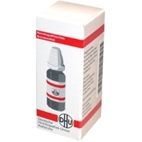 NATRIUM SILICICUM D 12 Globuli 10 g Globuli