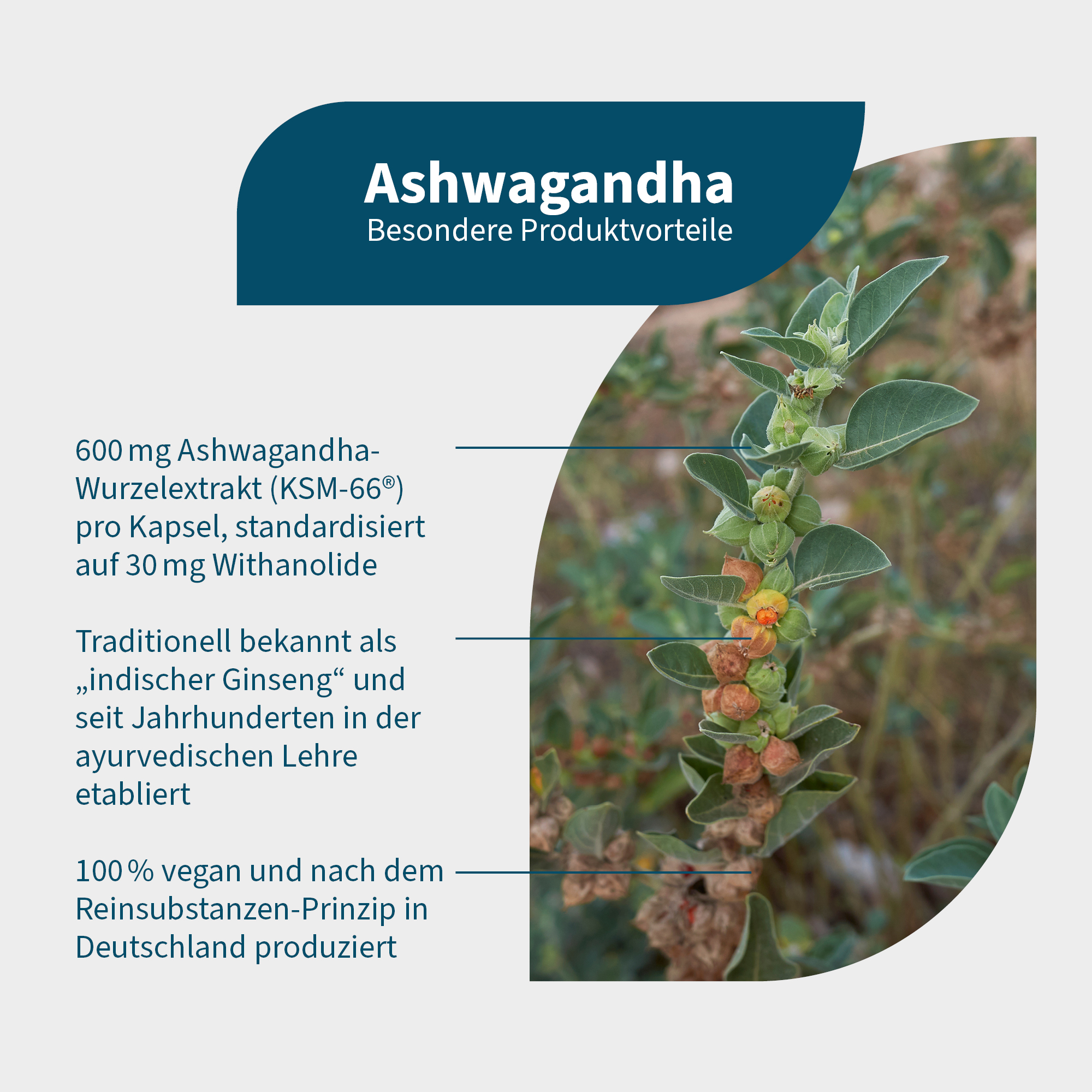 NatuGena Ashwagandha 60 St Kapseln