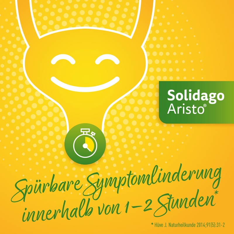 Solidago Aristo 300mg Tabletten  100 St Tabletten