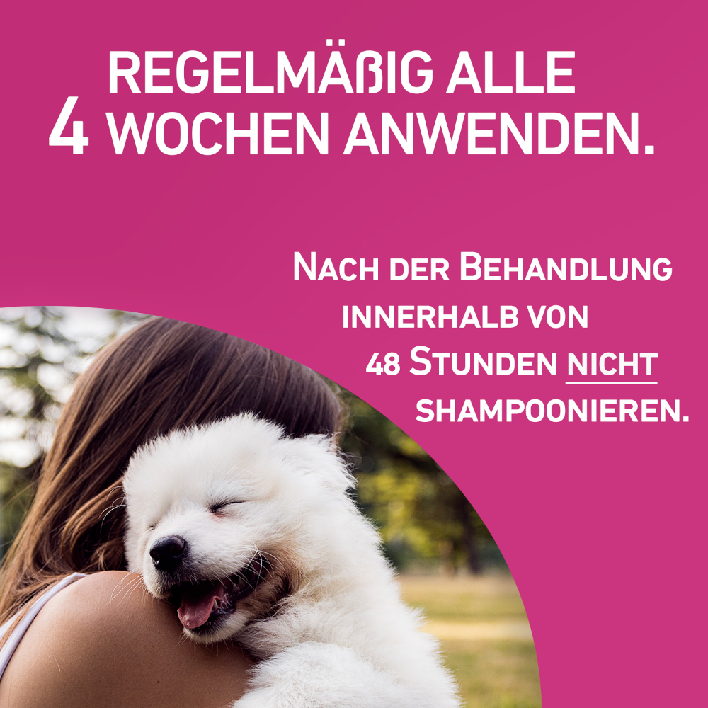 FRONTLINE TRI-ACT gegen Zecken, Flöhe & fliegende Insekten für Hunde L (20-40 kg)  3 St Lösung