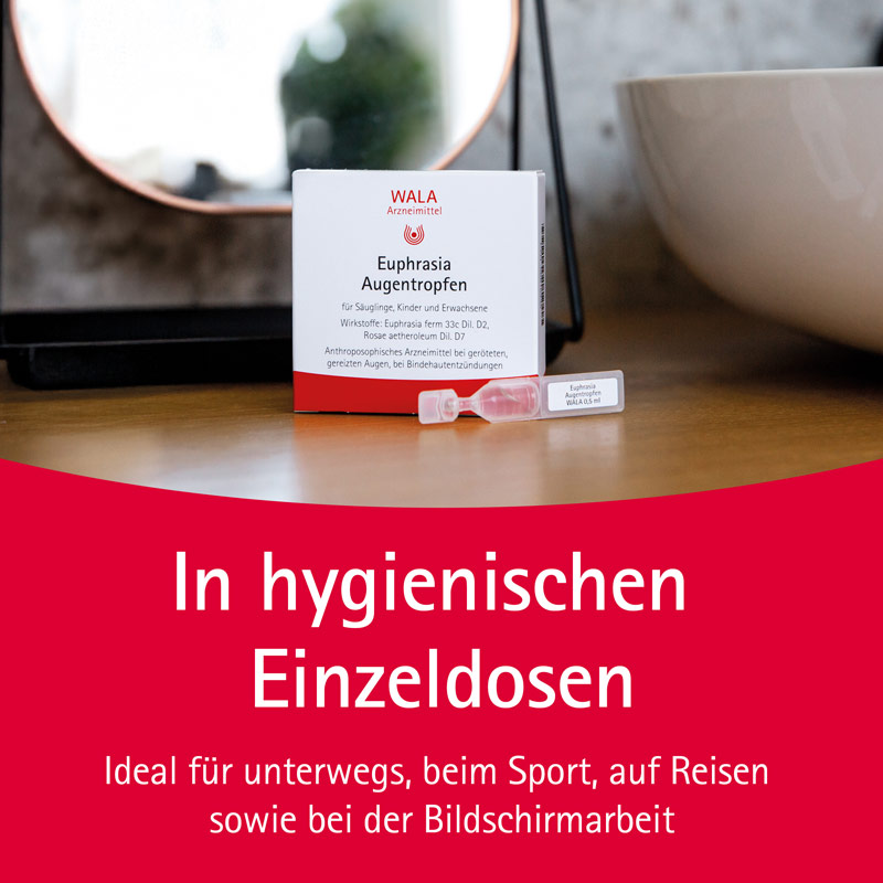 WALA Euphrasia Augentropfen 30X0.5 ml Augentropfen