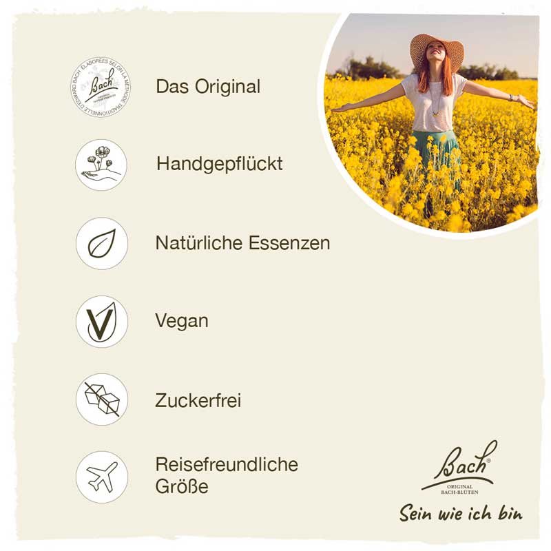 BACHBLÜTEN Original Professional Set 40 x 20ml 800 ml Tropfen