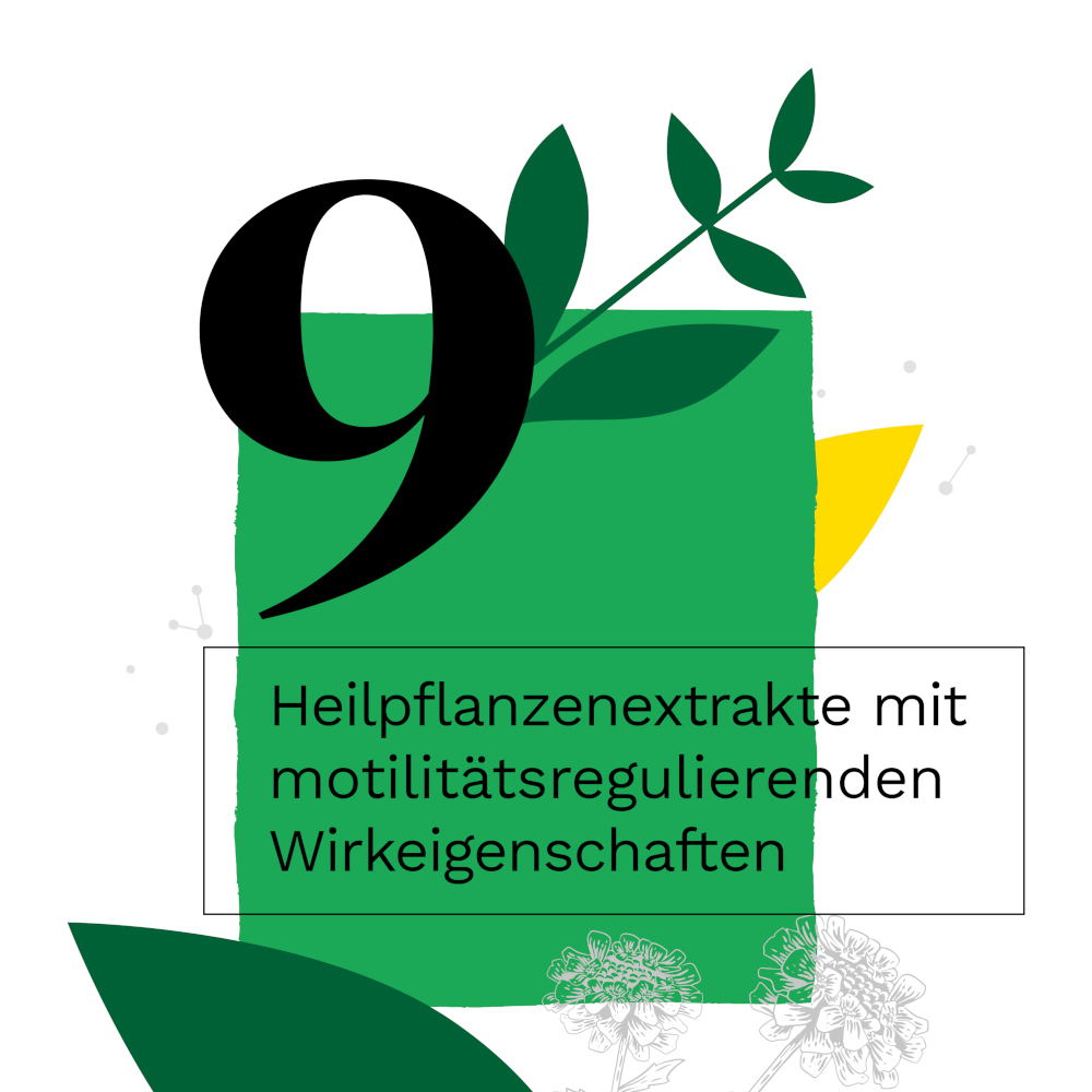 Iberogast Classic 50 ml Flüssigkeit zum Einnehmen