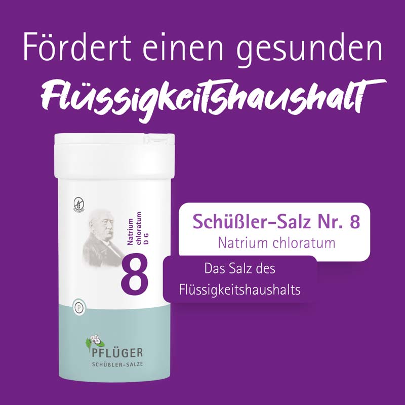 Schüßler-Salz Nr. 8 Natrium chloratum D6 400 St Tabletten